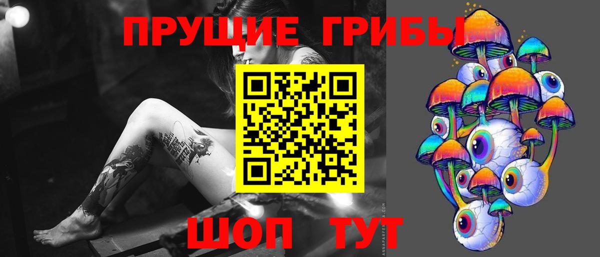 Галлюциногенные грибы Psilocybe  Вход с VPN  Наро-Фоминск  Псилоцибиновые грибы мицелий 