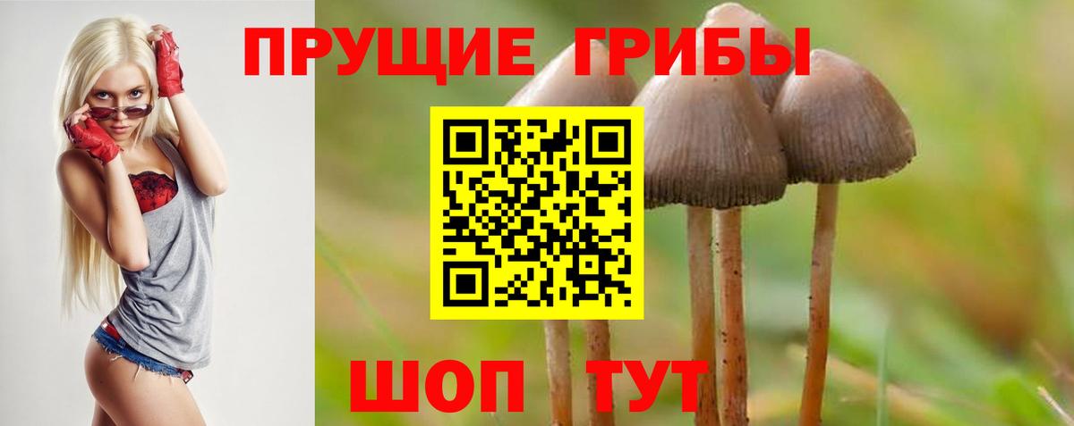 Галлюциногенные грибы мицелий Наро-Фоминск
